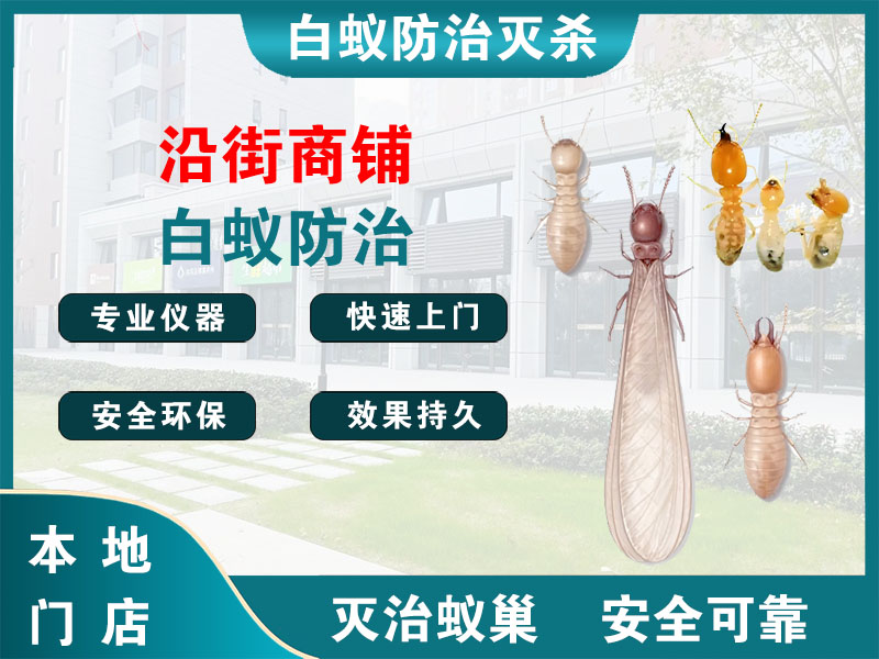 秀洲区沿街商铺白蚁防治
