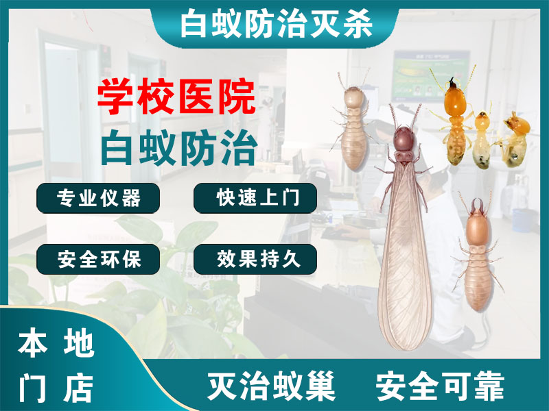 秀洲区学校医院白蚁防治