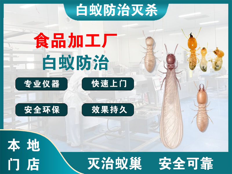 秀洲区食品加工厂白蚁防治