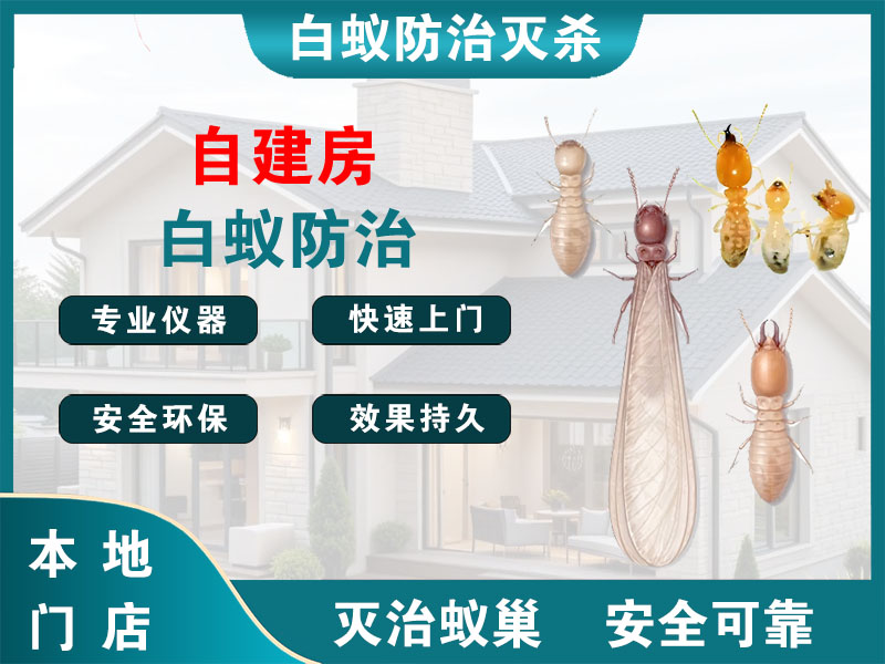 秀洲区自建房白蚁防治