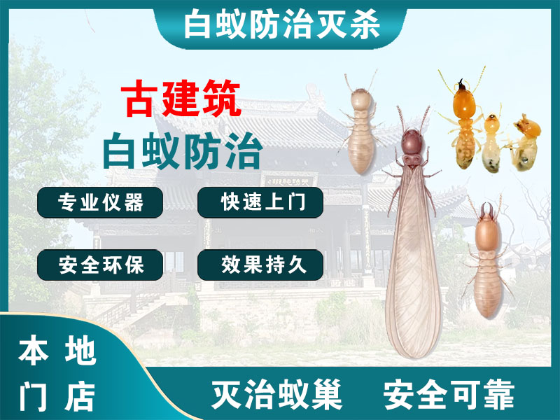 秀洲区古建筑白蚁防治