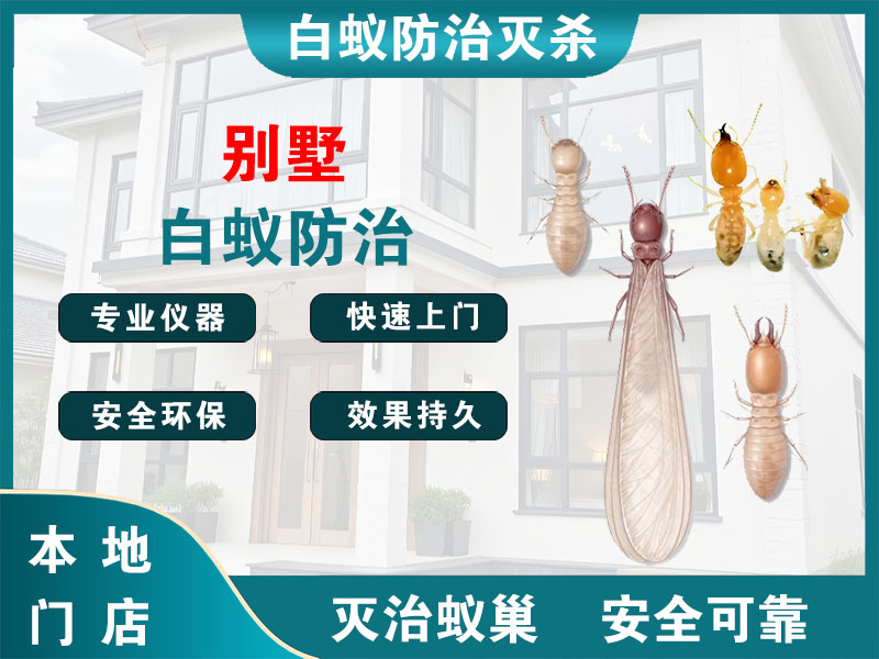 秀洲区别墅白蚁防治