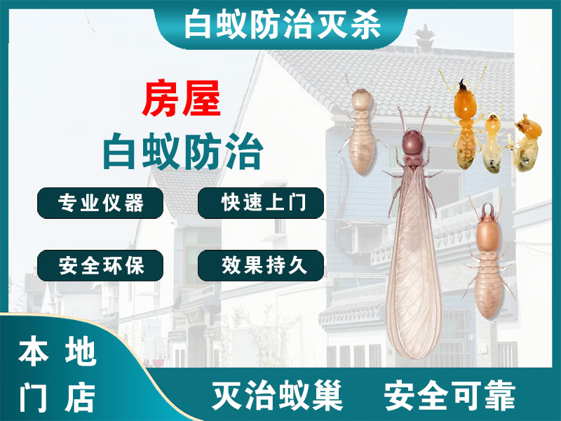 秀洲区房屋白蚁防治